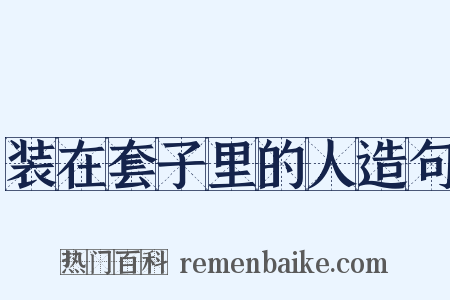 装在套子里的人造句是什么意思的图片